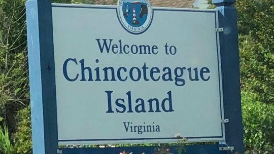 Road Trip to Chincoteague – where the wild ponies live